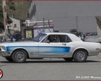 TSR Watermark - 0569
